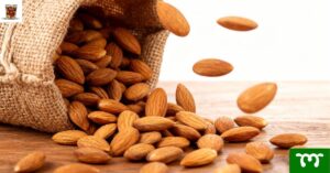 Mustmilk কাঠ বাদাম